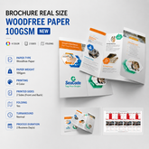Brochure Real Size Folding Printing – Woodfree Paper 100gsm